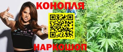 Альфа ПВП Можга