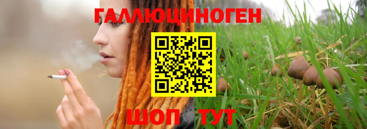 Псилоцибиновые грибы мицелий Великий Устюг